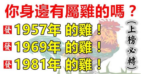 1981屬雞一生運|1981年屬雞運勢及運程 生肖雞1981年一生運勢